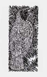 xilogravura aves araponga da araucária