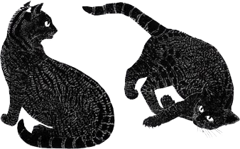 Jaguatiricas