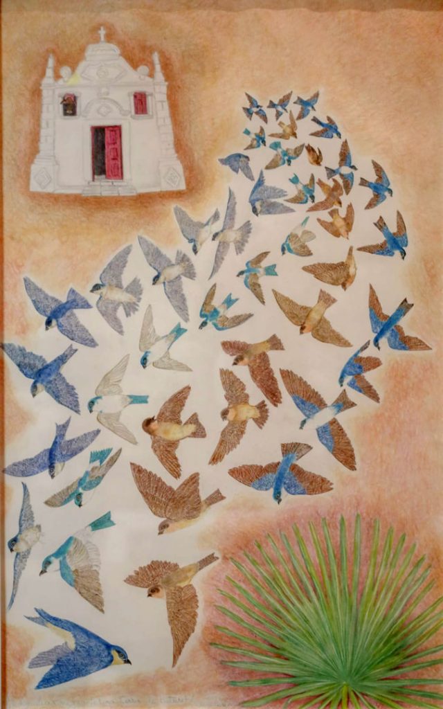 Desenho - Angela Leite - andorinhas migrantes serra baturite