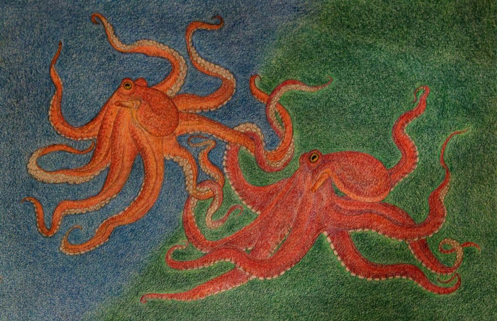 Desenho - Angela Leite - polvos