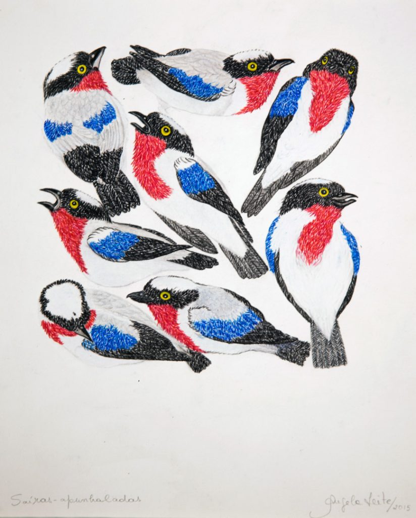 Angela Leite - Desenhos - passaro