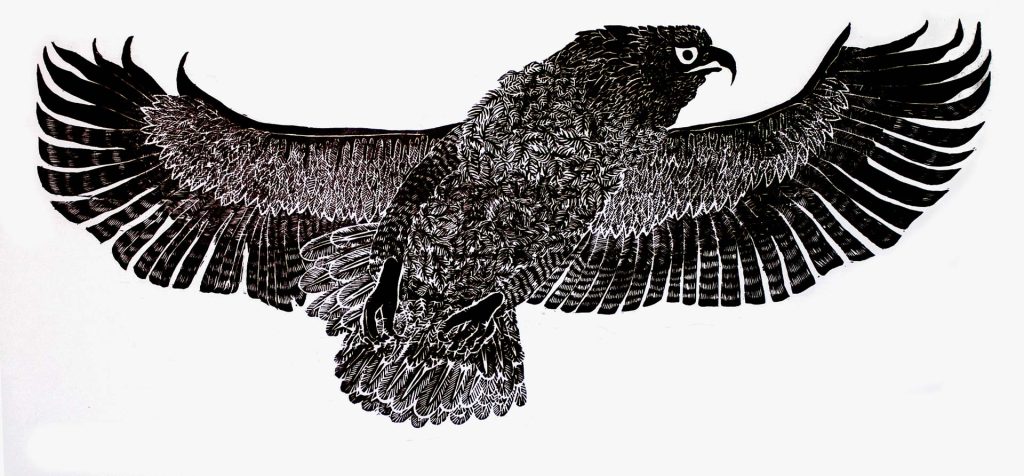 Xilogravura - Angela Leite - Gavião Real