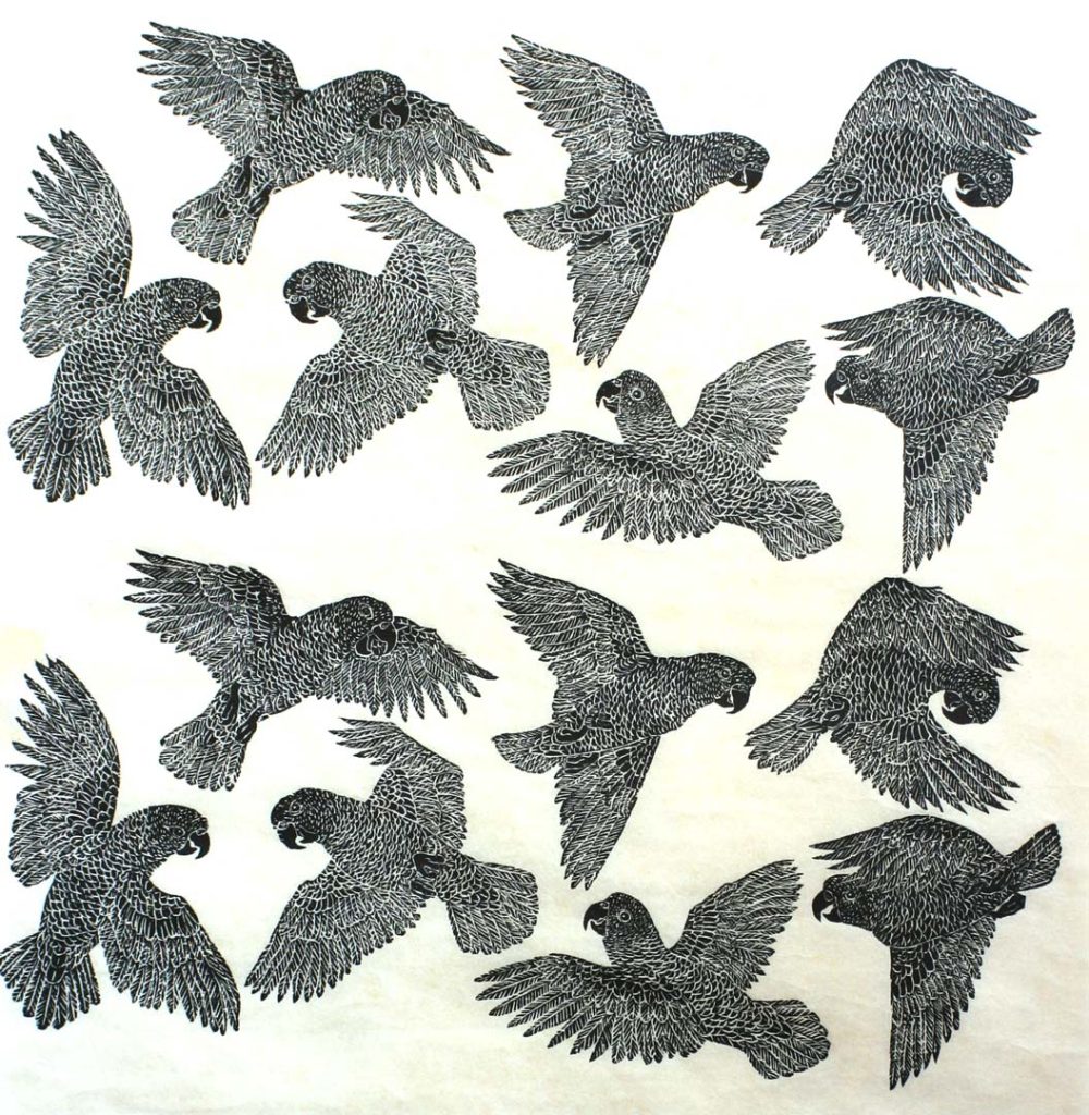 Xilogravura - Angela Leite - Papagaios Jurueba