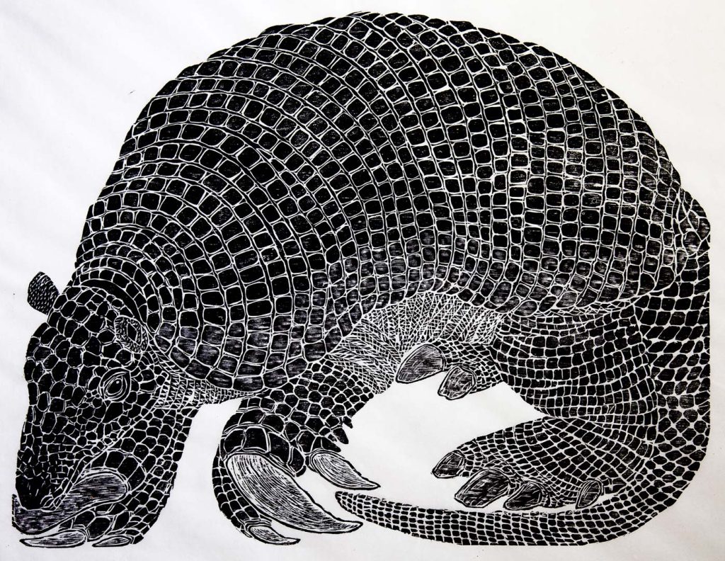 Xilogravura - Angela Leite - tatu canastra