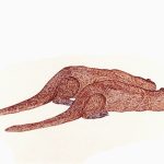 Pteronura brasiliensis Nanquim, 25 x 30cm (VxH) Distribuição: América do Sul