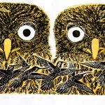 Glaucidium brasilianum e ordem Trochiliformes Xilogravura, 25 x 50cm (VxH) Distribuição: Mata Atlântica (Brasil)