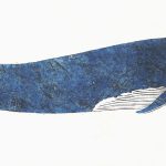 Balaenoptera musculus Xilogravura, 13 x 73cm (VxH) Distribuiçao: Todos os oceanos