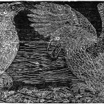 Haliaetus albicilla Xilogravura, 51 x 111cm (VxH) Distribuiçao: Norte da Ásia, Europa e Sul da Groenlândia