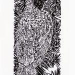 Procnias nudicollis e Araucaria angustifolia Xilogravura, 21,5 x 10cm (VxH) Distribuiçao: Mata Atlântica de Pinhais (Brasil, Argentina e Paraguai)