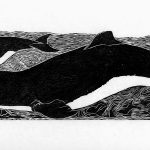 Pontoporia blainvillei Xilogravura, 25 x 95cm (VxH) Distribuiçao: Atlântico Sul