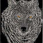 Canis lupus Xilogravura, 35 x 31cm (VxH) Distribuiçao: América do Norte e Europa