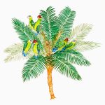Pionopsitta pileata e Lytocaryum hoehnei Lápis-de-cor, 31 x 31,5cm (VxH) Distribuição: Mata Atlântica