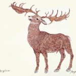 Megaloceros giganteus Nanquim, 26 x 31cm (VxH) Distribuição: Extinto (distribuição original: Grã-Bretanha à Sibéria)