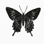 Parides ascanius Xilogravura, 16 x 18cm (VxH) Distribuiçao: Endêmica de áreas de Restinga do Rio de Janeiro (BR)