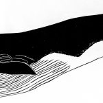Balaenoptera acutorostrata Xilogravura, 29 x 121cm (VxH) Distribuiçao: Todos os oceanos