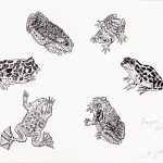 Sapos, rãs e pererecas I (1987) Ver texto relacionado Nanquim, 20 x 25,7cm (VxH)
