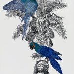 Anodorhynchus leari e Syagrus coronata Nanquim, 73 x 50cm (VxH)