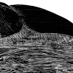 Eubalaena australis Xilogravura, 29 x 42,5 cm (VxH) Distribuiçao: Oceanos do Hemisfério Sul