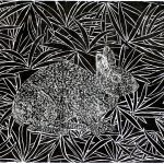 Sylvilagus brasiliensis e Euterpe edulis Xilogravura, 34,5 x 27cm (VxH) Distribuição: Mata Atlântica (América do Sul)