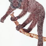 Chiropotes satanas Nanquim, 26,9 x 20cm (VxH) Distribuição: Tocantins e toda a Amazônia brasileira
