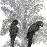 Anodorhynchus hyacinthinus e Accrocomia aculeata Nanquim, 37,4 x 21,6cm (VxH)