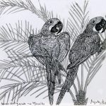 Anodorhynchus hyacinthinus e Accrocomia aculeata Nanquim, 29 x 28,2 cm (VxH)