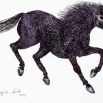 Equus caballus Nanquim, 24,5 x 33cm (VxH) Distribuição: Todos os continentes