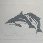 Sotalia guianensis Xilogravura, 16,5 x 30 cm (VxH) Distribuição: Oceano Atlântico, da América Central ao Sul do Brasil
