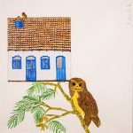 Pulsatrix koeniswaldiana Nanquim, 41 x 41 cm (VxH) Distribuição: região Sudeste brasileira e estado do Paraná