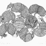 Tolypeutes tricinctus Nanquim, 31 x 39cm (VxH) Distribuição: Caatinga brasileira