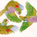 Amazona vinacea Lápis-de-cor, 22 x 102,5cm (VxH) Distribuiçao: Sul da Bahia ao Rio Grande do Sul; Paraguai e Norte da Argentina