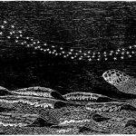 Eretmochelis imbricata Xilogravura, 40 x 101cm (VxH) Todos os oceanos (à exceçăo dos polares)