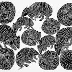 Tolypeutes tricinctus Xilogravura, 27 x 35 cm (VxH) Distribuição: Caatinga do Nordeste brasileiro