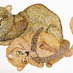 Puma yaguaroundi Nanquim, 18 x 33cm (VxH) Distribuição: América do Sul, Central e do Norte (parte Sul)