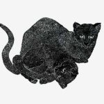 Puma yaguaroundi Xilogravura, 34 x 48cm (VxH) Distribuição: América do Sul, Central e do Norte (parte Sul