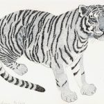 Panthera tigris Nanquim, 21 x 30cm (VxH) Distribuição: Ásia