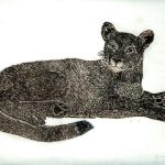Puma concolor Xilogravura, 29 x 38,5 cm (VxH) Distribuição: Américas, do Canadá até a Patagônia