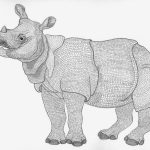 Rhinoceros sondaicus Nanquim, 21 x 30cm (VxH) Distribuição: Atualmente ocorre no Oeste da ilha de Java e no Norte do Vietnã, originalmente ocorria por todo o Sul da Ásia