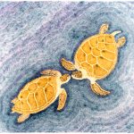 Chelonia mydas Lápis-de-cor, 70 x 100cm (VxH) Distribuição: Todos os oceanos (à exceção dos polares)