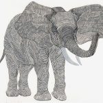 Loxodonta africana Nanquim, 21 x 30cm (VxH) Distribuição: África