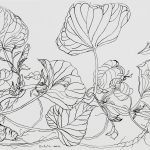 pomoea batatas Nanquim, 30,7 x 47,8cm (VxH)