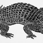 Caiman latirostris Xilogravura, 17 x 51cm (VxH) Distribuiçao: Mata Atlântica (Brasil)
