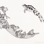 Leptodactylus ocellatus e Hypsiboas faber Nanquim, 22,8 x 32,4cm (VxH) Distribuição: América do Sul, a leste do Andes; Sudeste do Brasil, Paraguai e Argentina