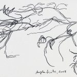 Ipomoea batatas Nanquim, 9,5 x 28cm (VxH)