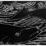 Eubalaena australis Xilogravura, 26 x 96cm (VxH) Distribuiçao: Oceanos do Hemisfério Sul