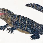 Melanosuchus niger Nanquim, 17,5 x 28,5cm (VxH) Distribuição: Floresta Amazônica