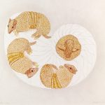 Tolypeutes tricinctus Lápis-de-cor, 46,5 x 54,8cm (VxH) Distribuição: Caatinga brasileira