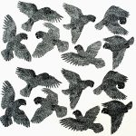 Amazona vinacea Xilogravura, 59 x 59,5cm (VxH) Distribuiçao: Sul da Bahia ao Rio Grande do Sul; Paraguai e Norte da Argentina