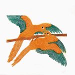 Guarouba guarouba Xilogravura, 21,2 x 25,2cm (VxH) Distribuição: Floresta Amazônica (Brasil)